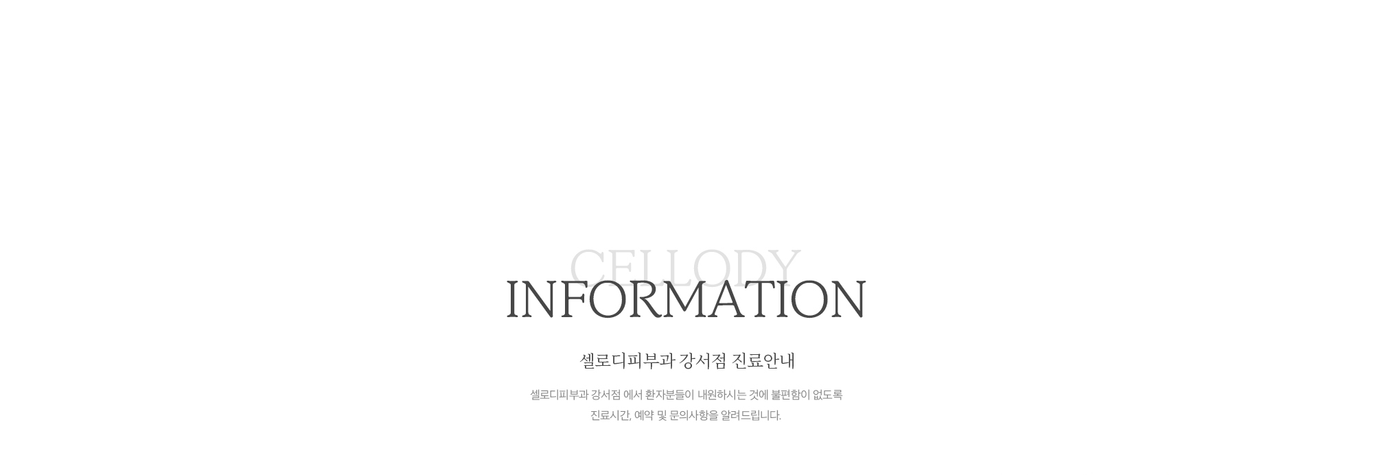 진료안내